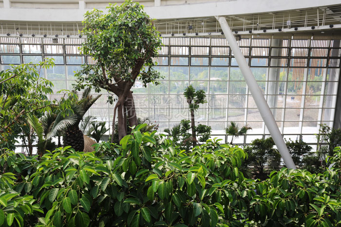 北京世園會萬花筒電動卷簾項目